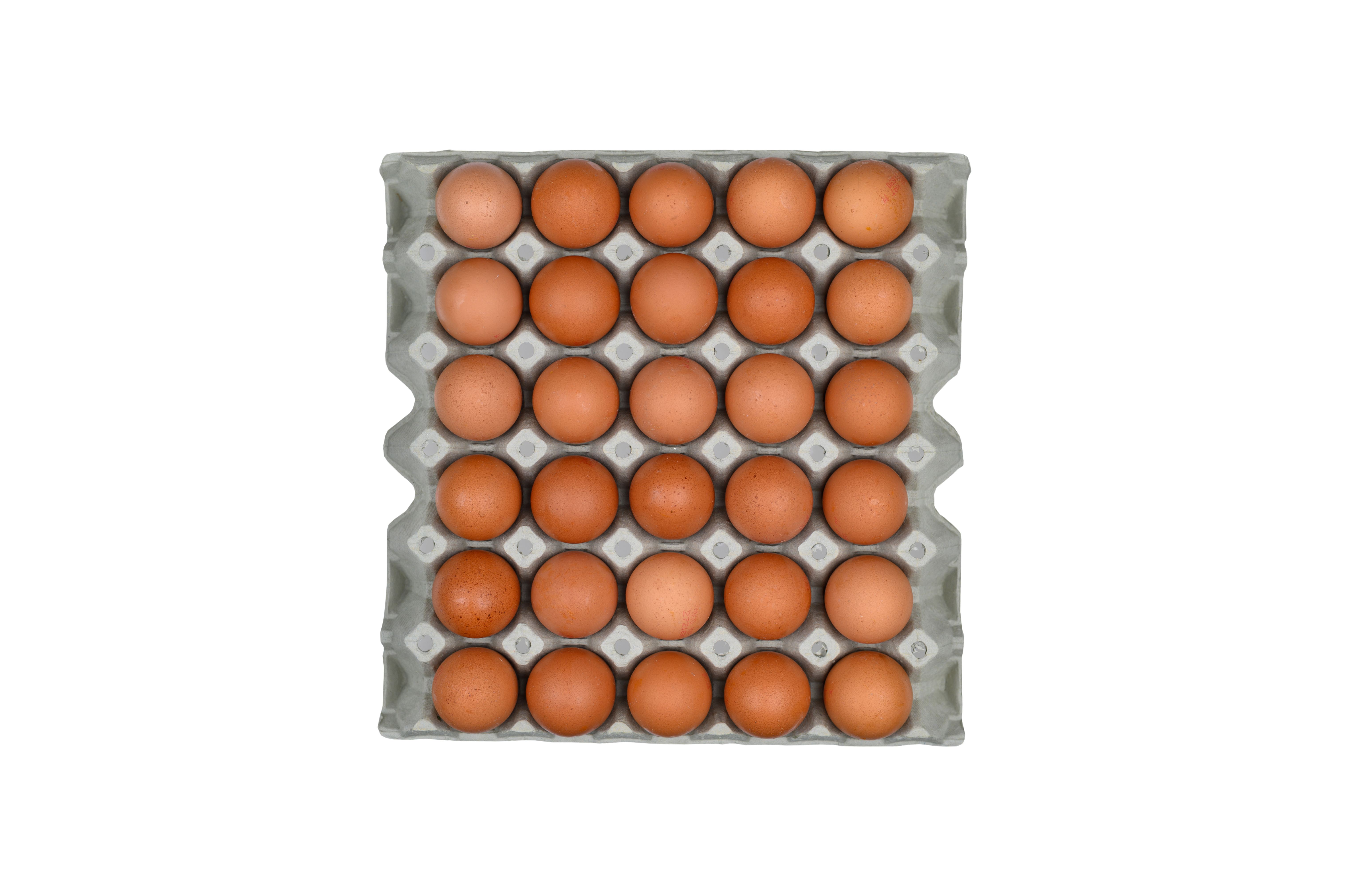 Eggs L 30/1