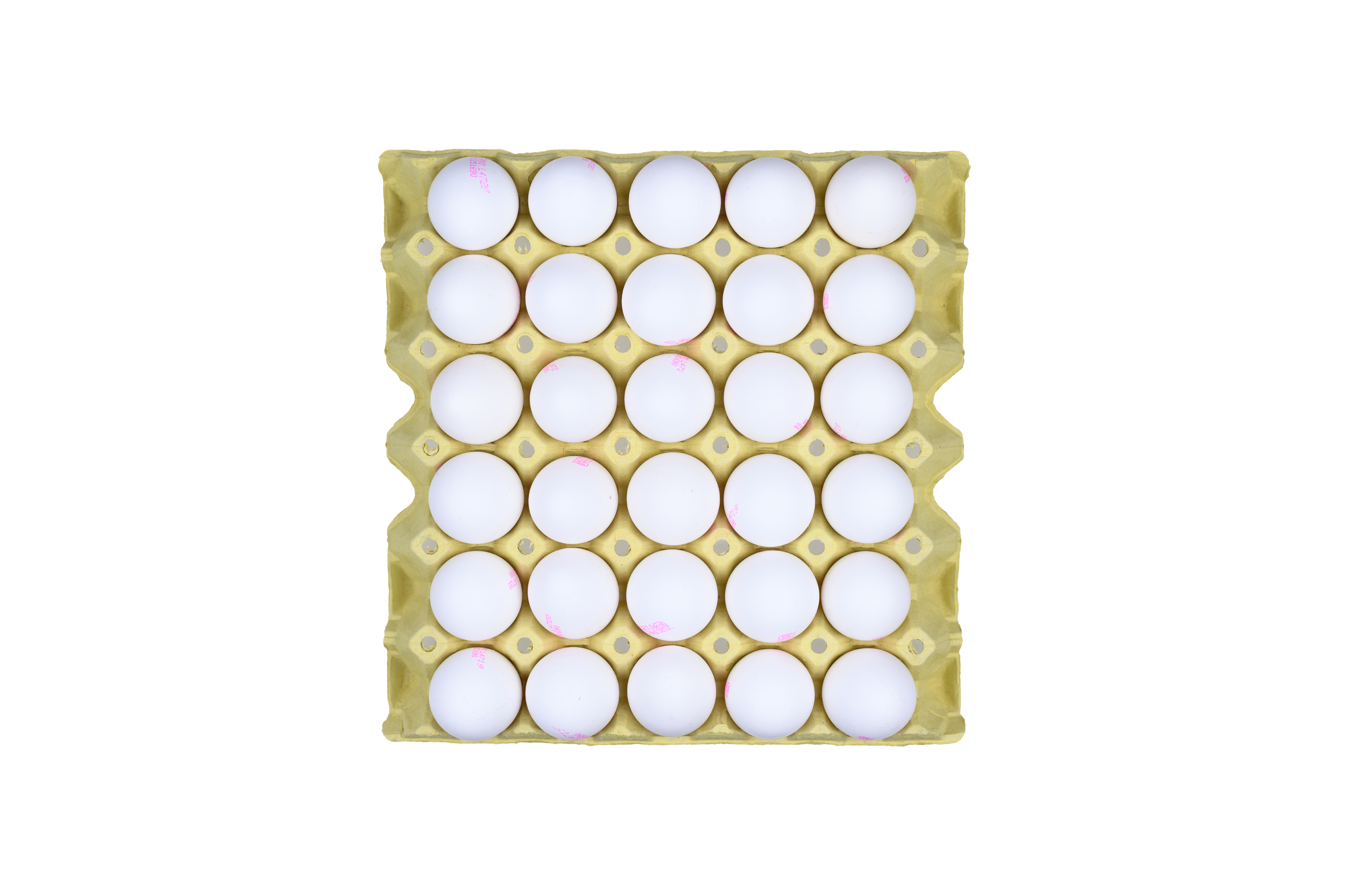 Eggs XL 30/1